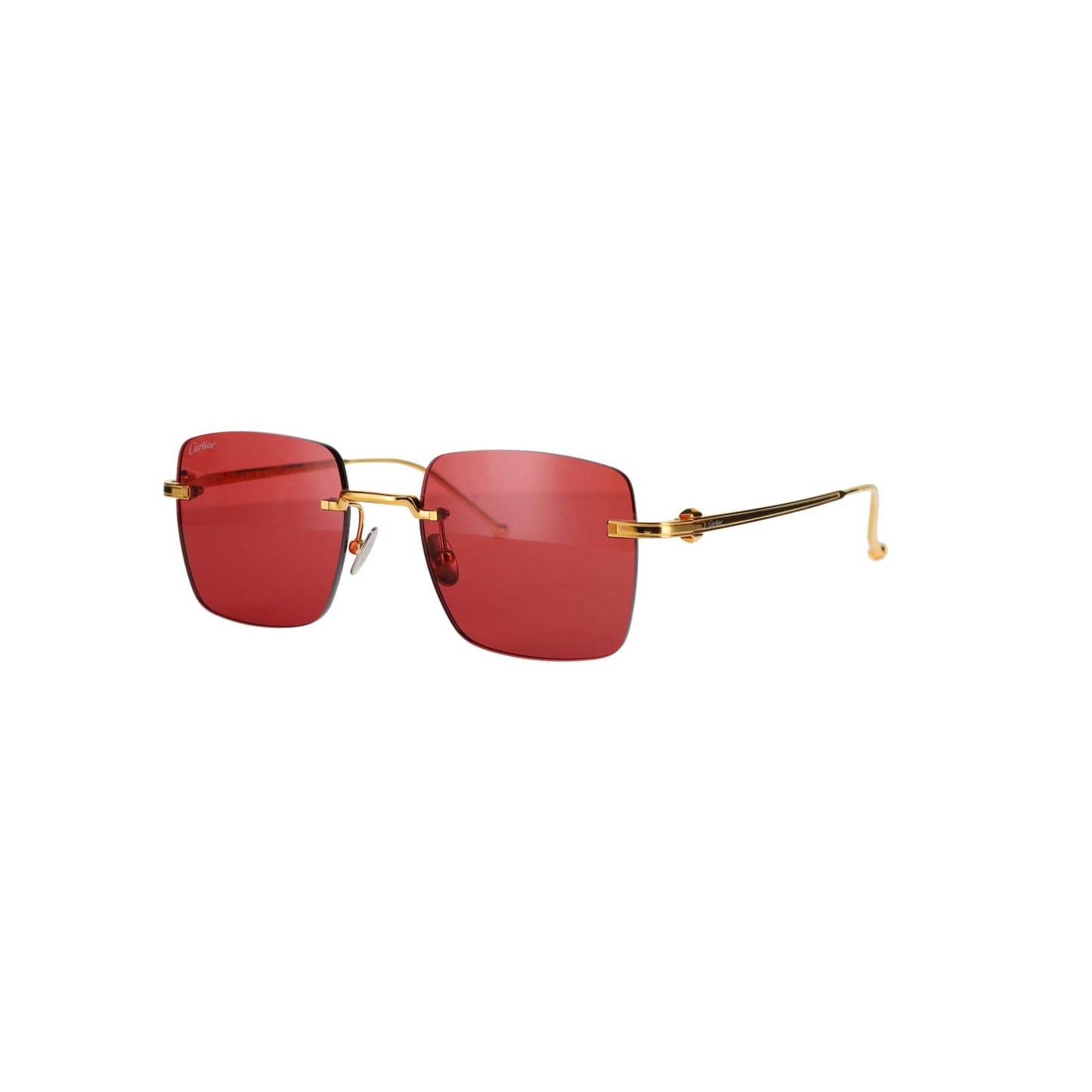 CT0403S Pasha Sunglasses