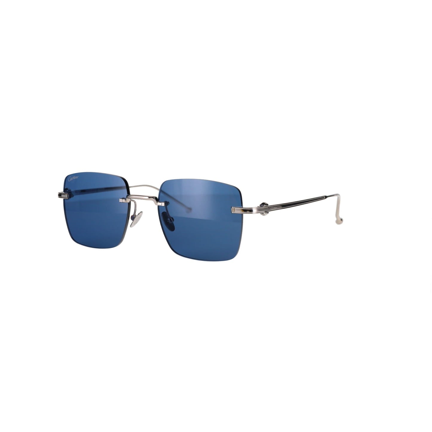 CT0403S Pasha Sunglasses
