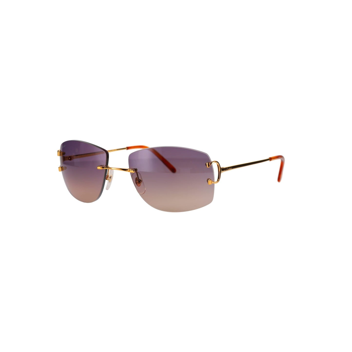 CT0008RS Signature C Sunglasses