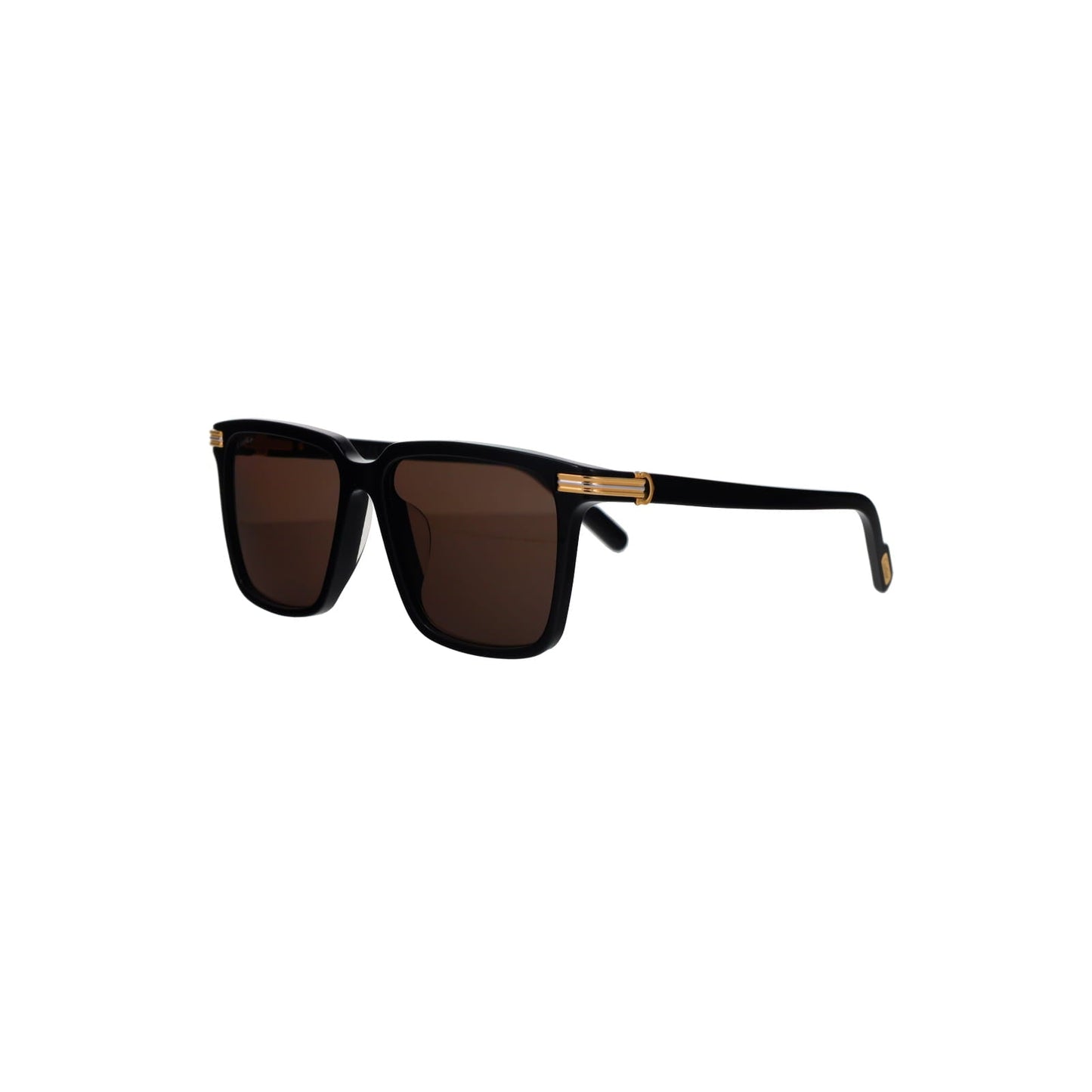 CT0366S Contemporary Acetate Sunglasses