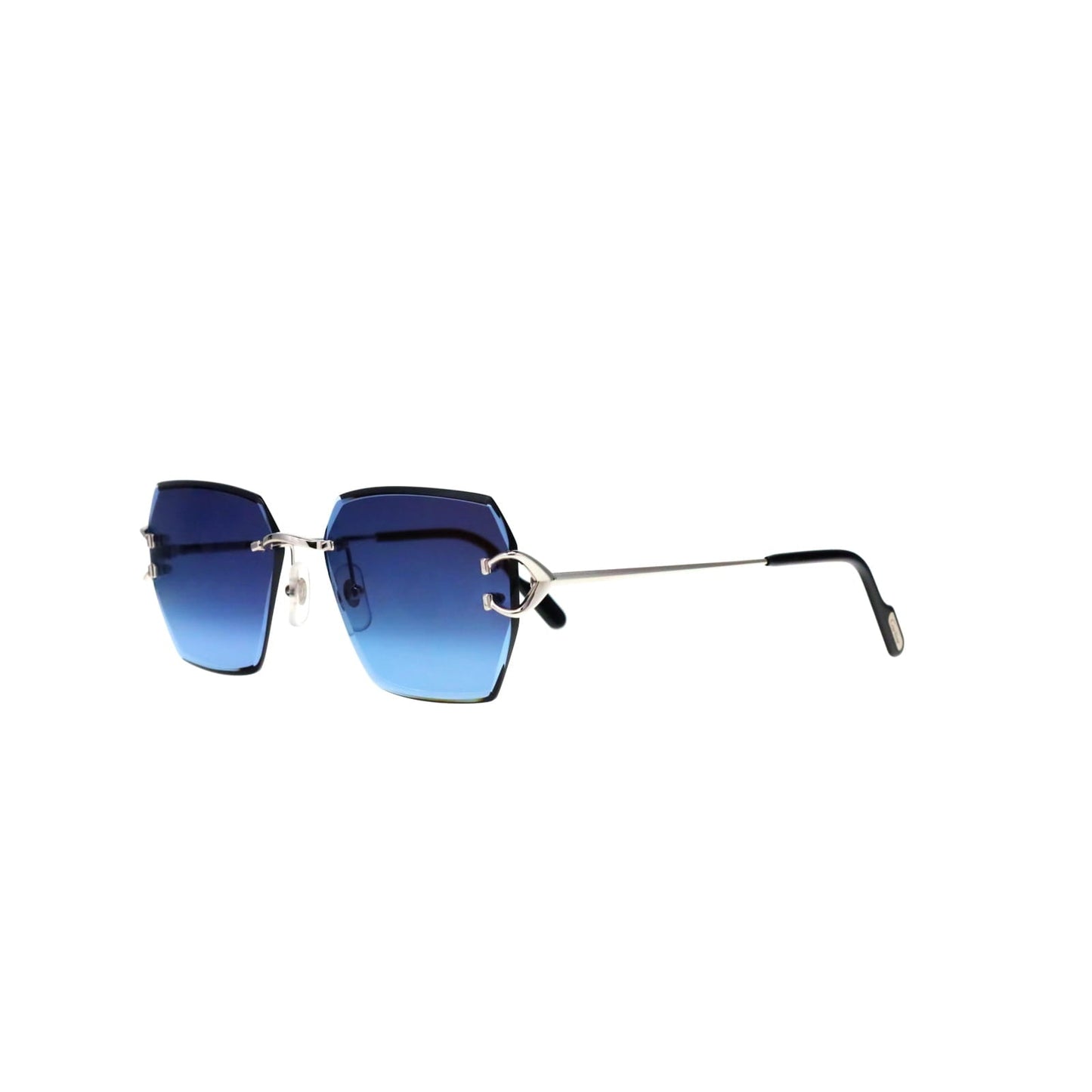 CT0466S  Signature C Sunglasses