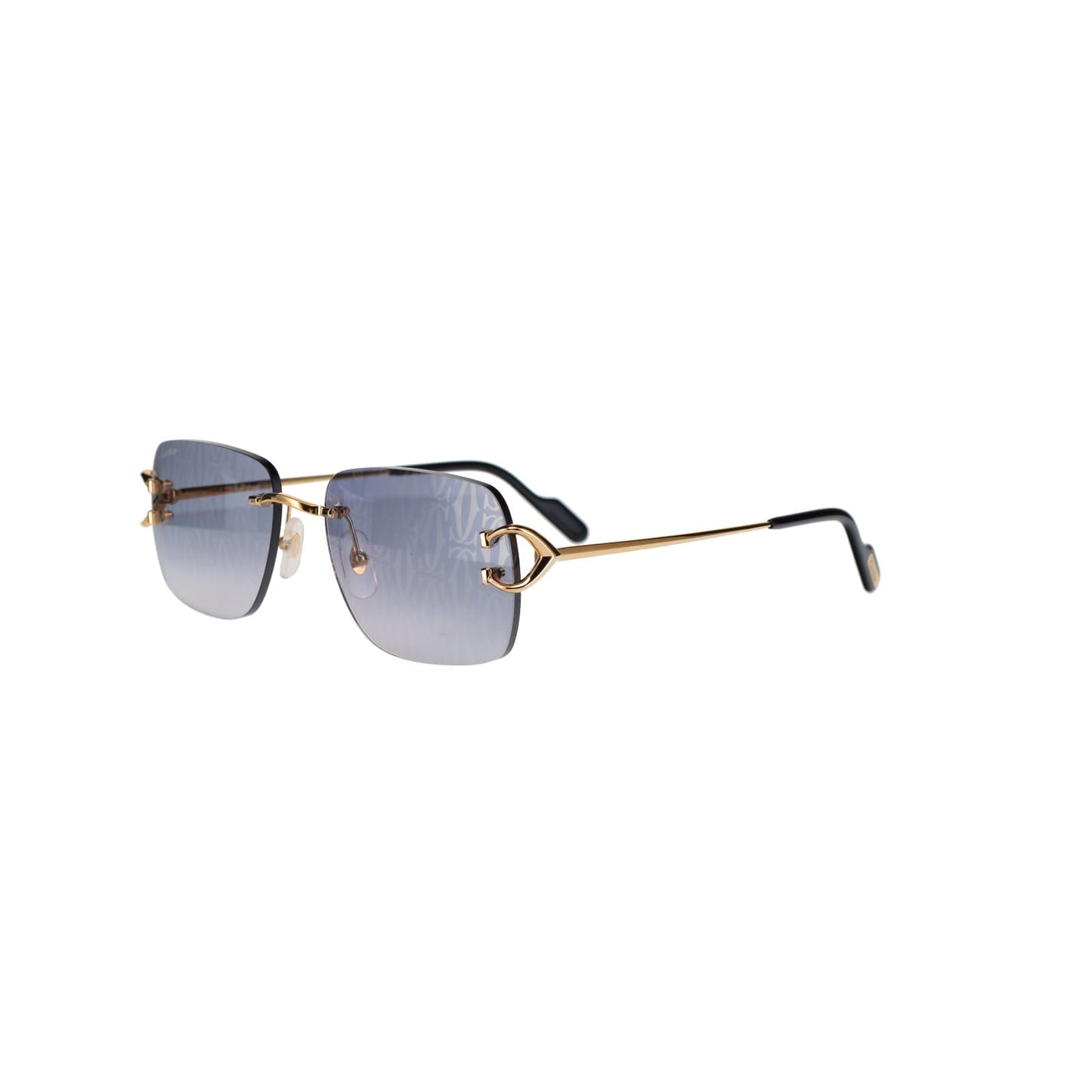 CT0330S Signature C  Sunglasses
