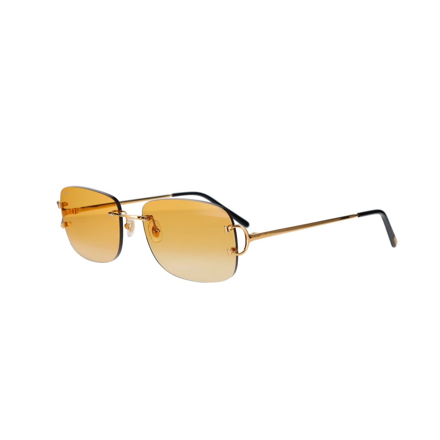 CT0011RS Signature C Sunglasses