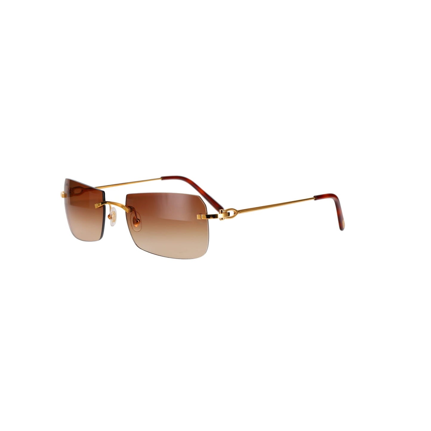 CT0006RS  C Décor Sunglasses