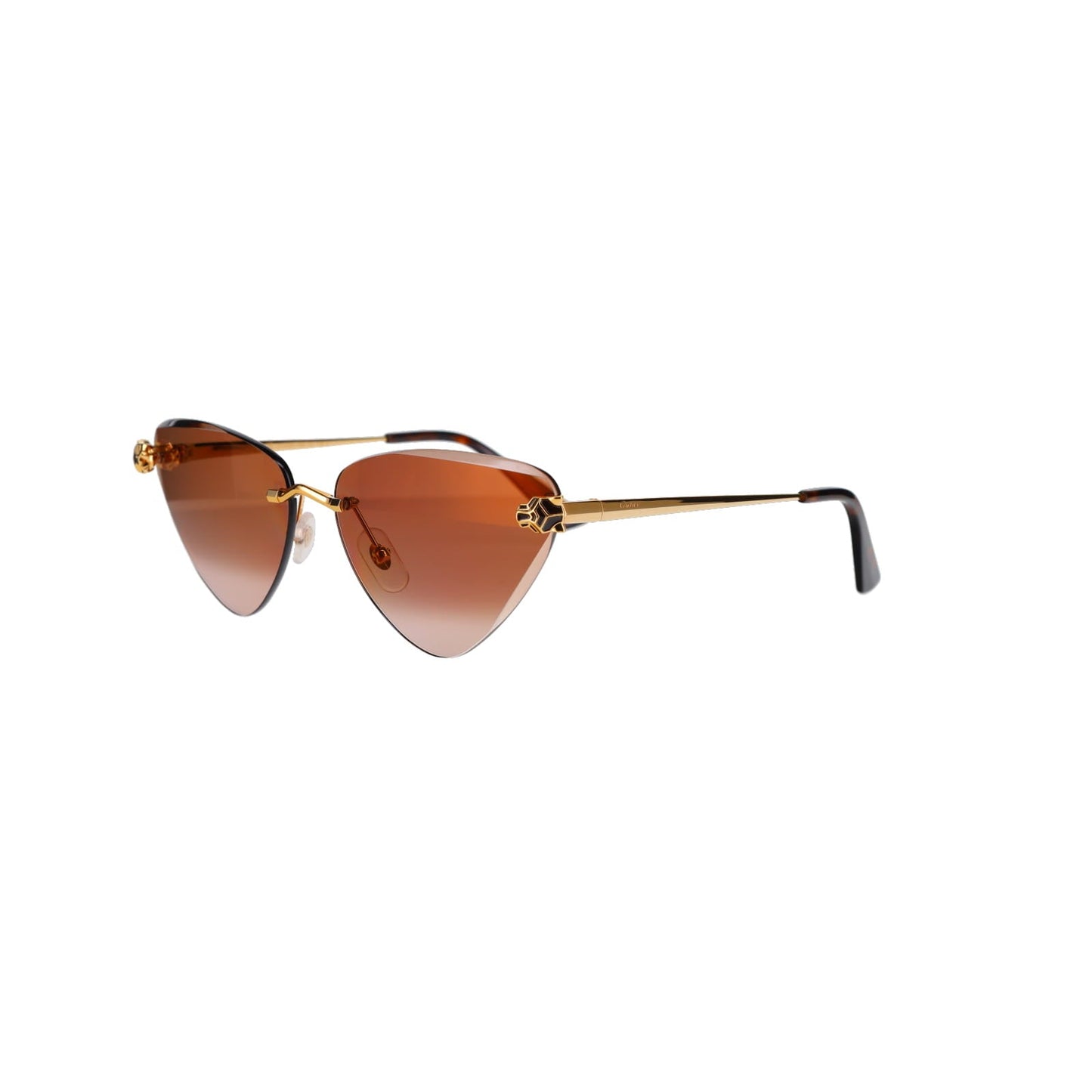 CT0399S Geometric Panthère Sunglasses