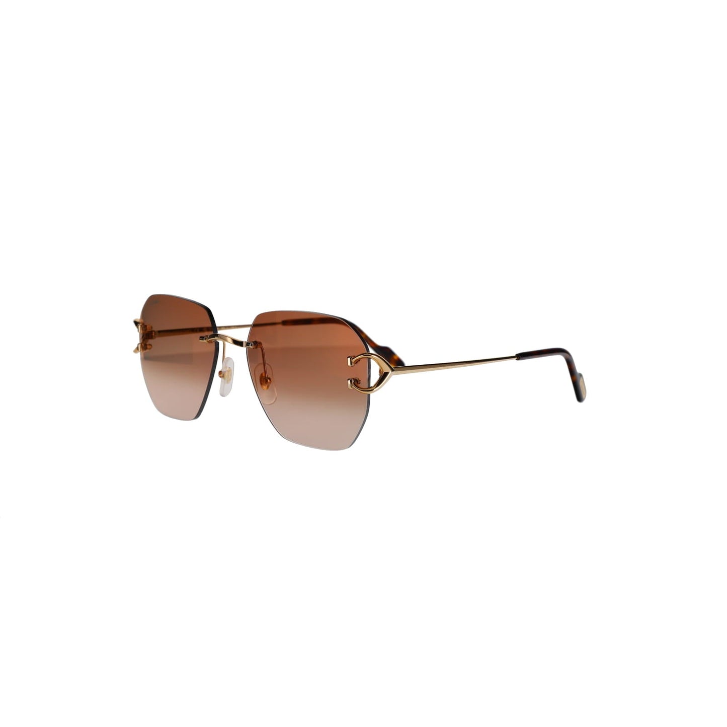 CT0394S Signature C Sunglasses