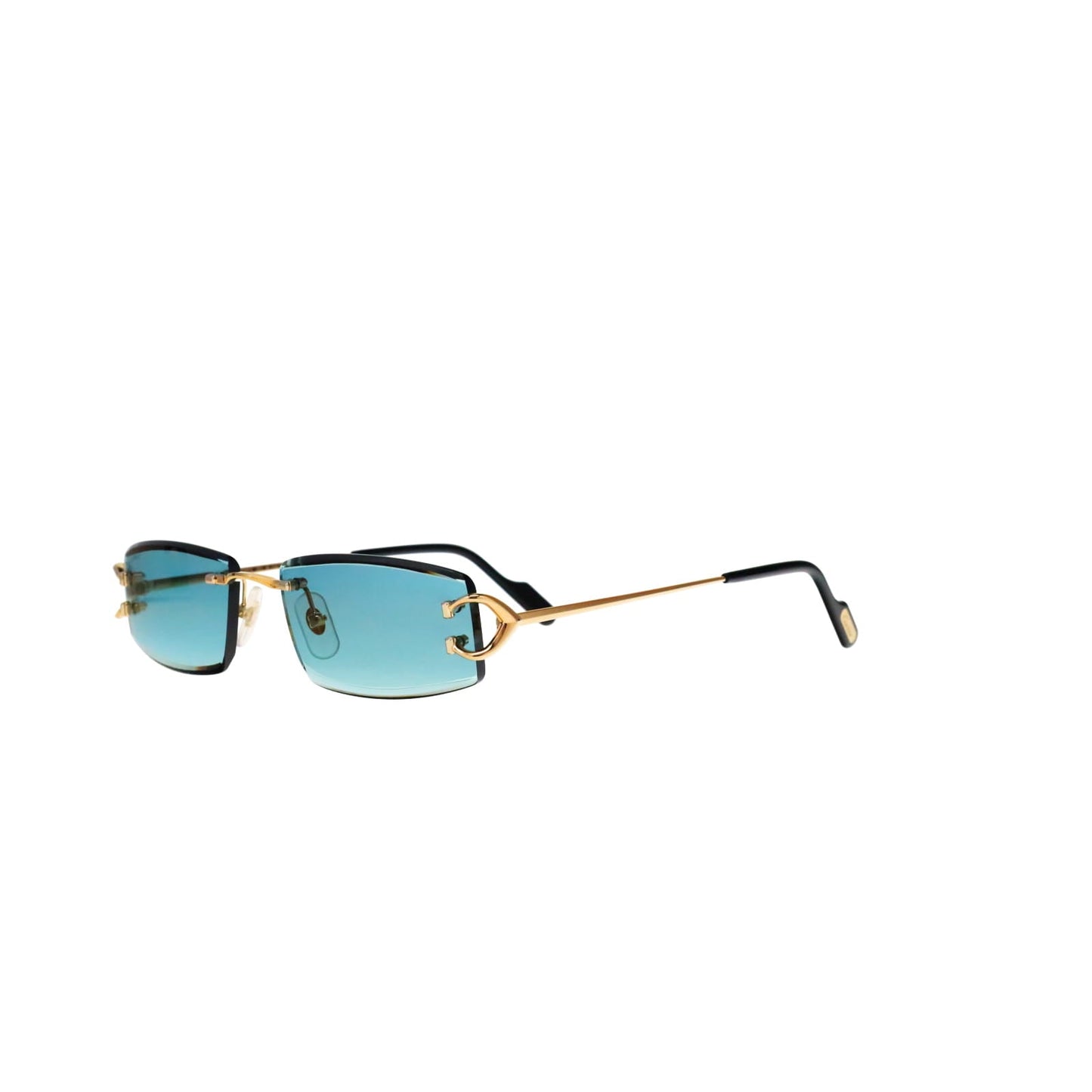 CT0465S Signature C  Rectangular Sunglasses