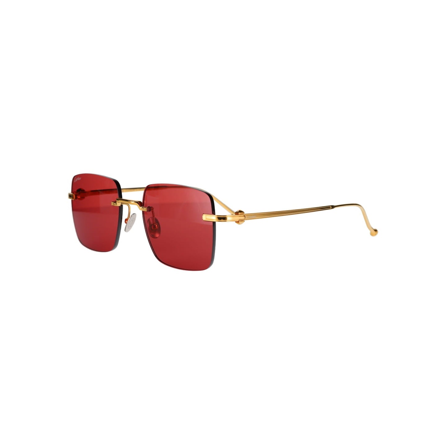 CT0403S Pasha Sunglasses