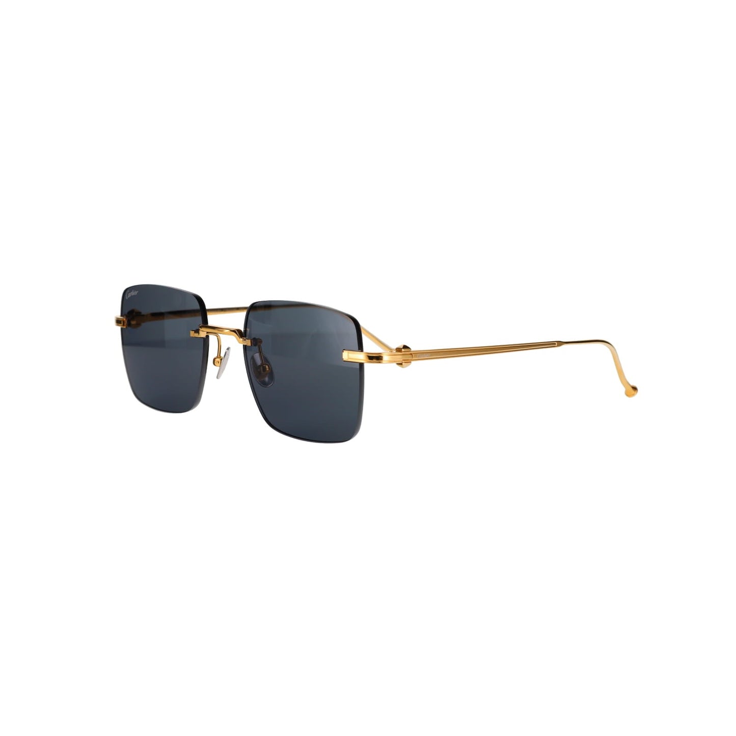 CT0403S Pasha Sunglasses