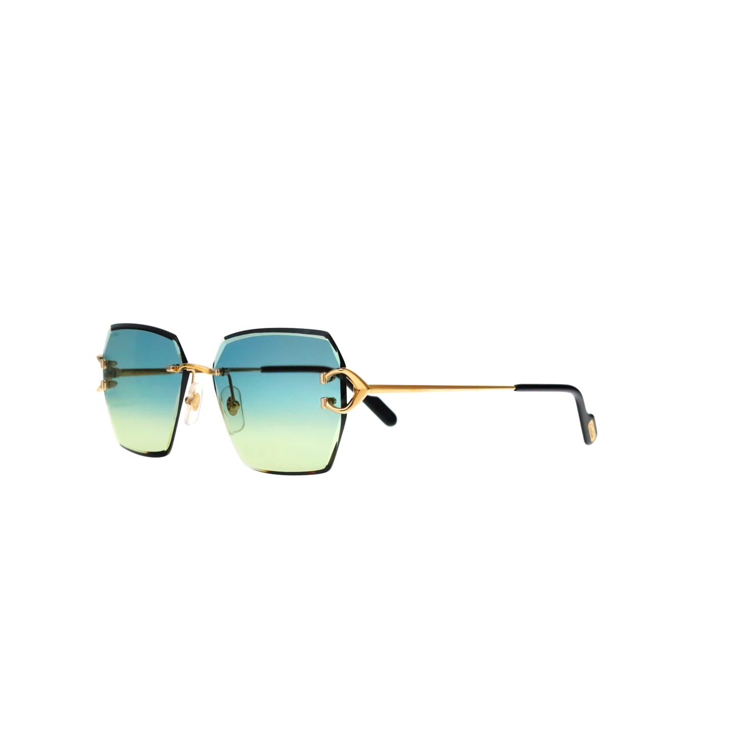 CT0466S  Signature C Sunglasses