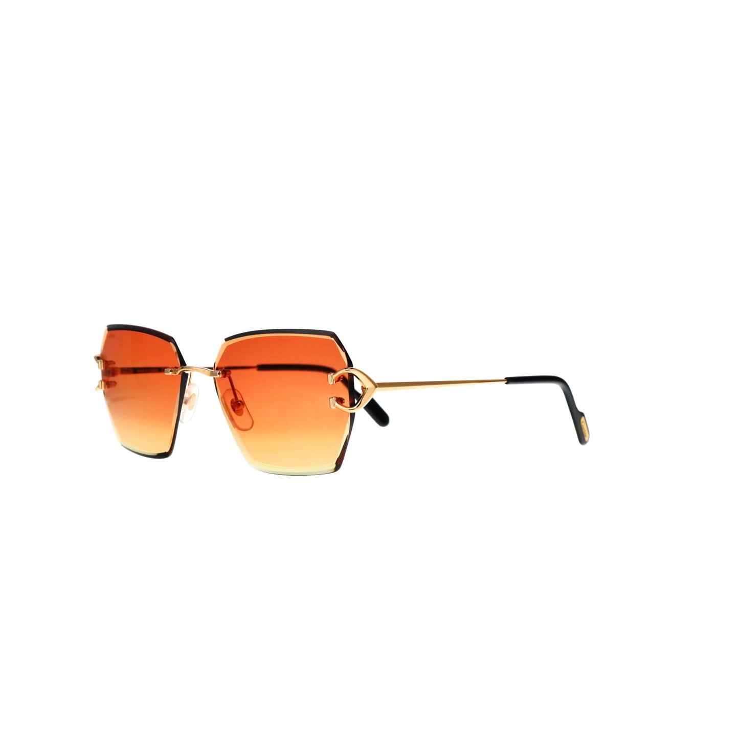 CT0466S  Signature C Sunglasses