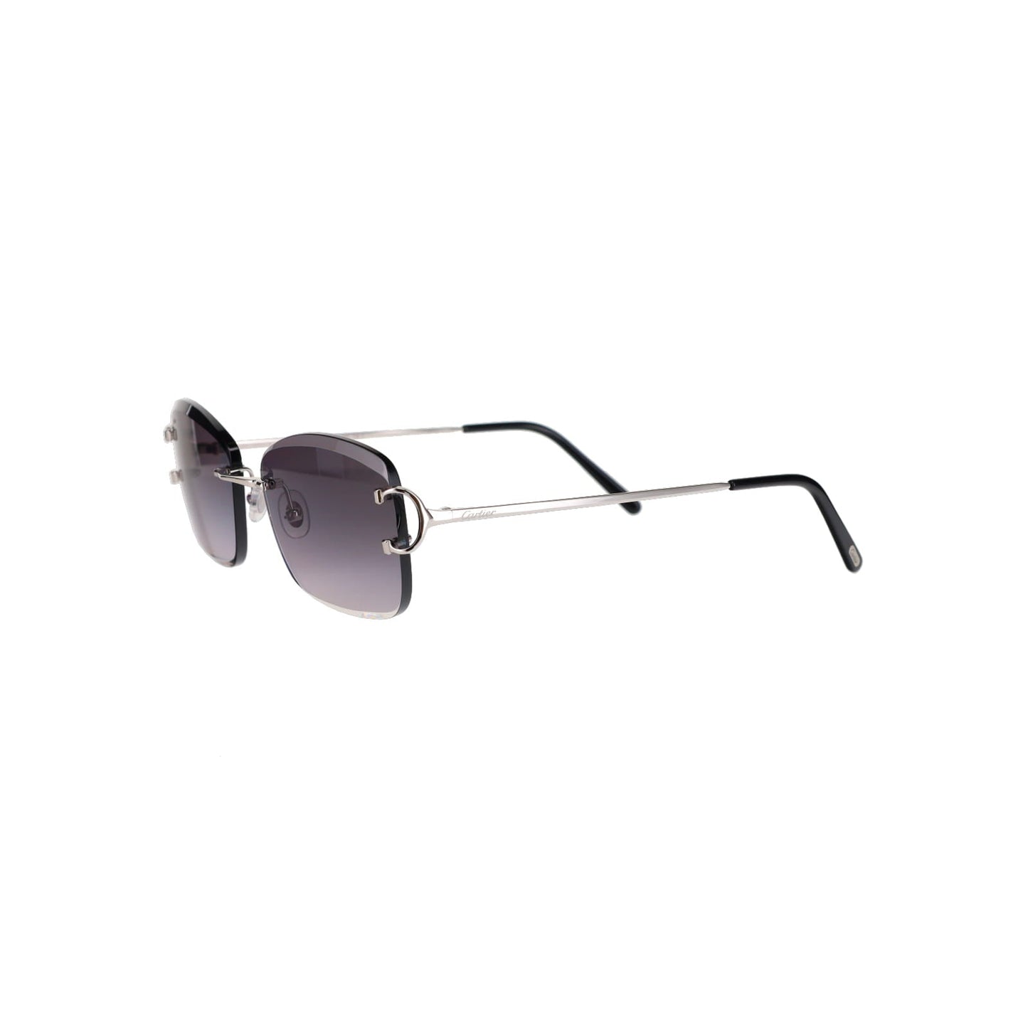 CT0010RS Signature C Sunglasses