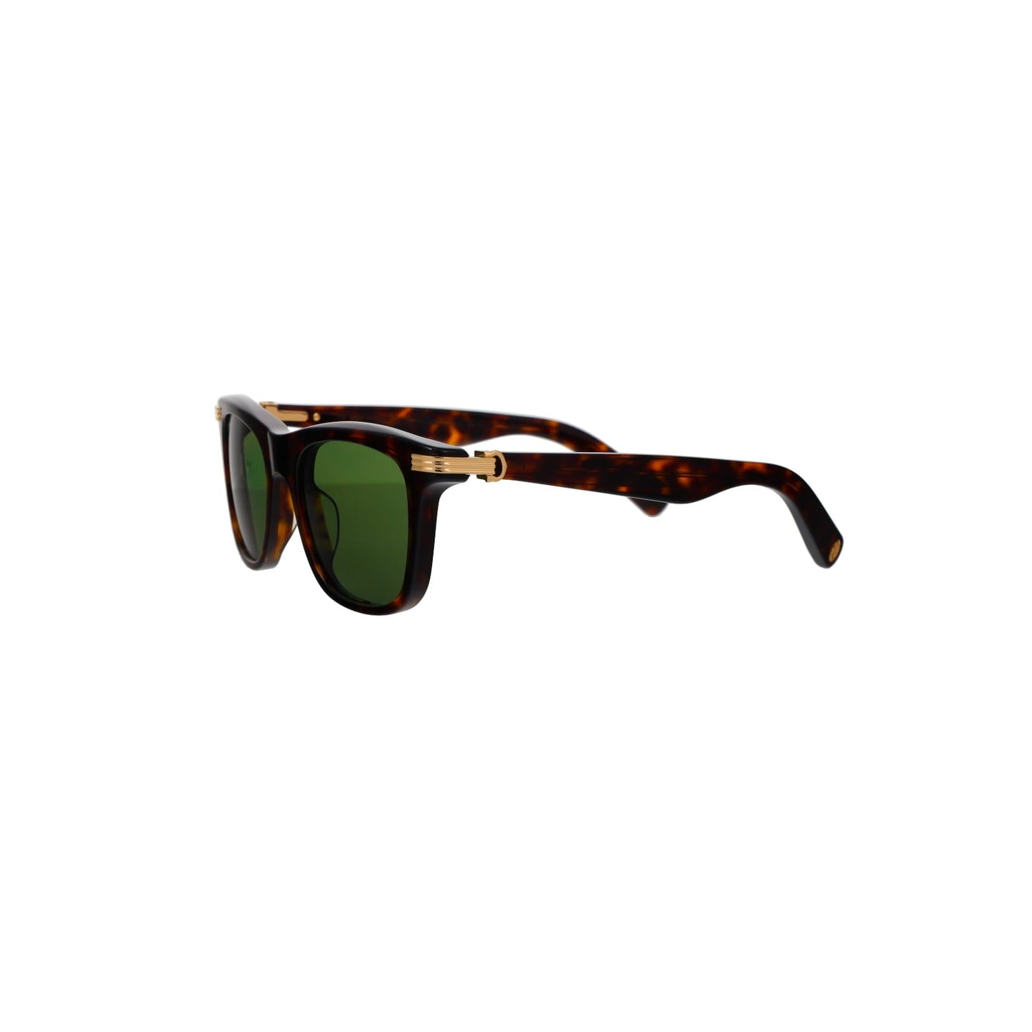 CT0396S Godron Contemporary Acetate Sunglasses