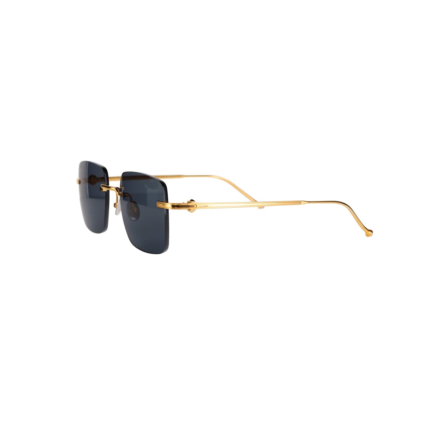 CT0403S Pasha Sunglasses