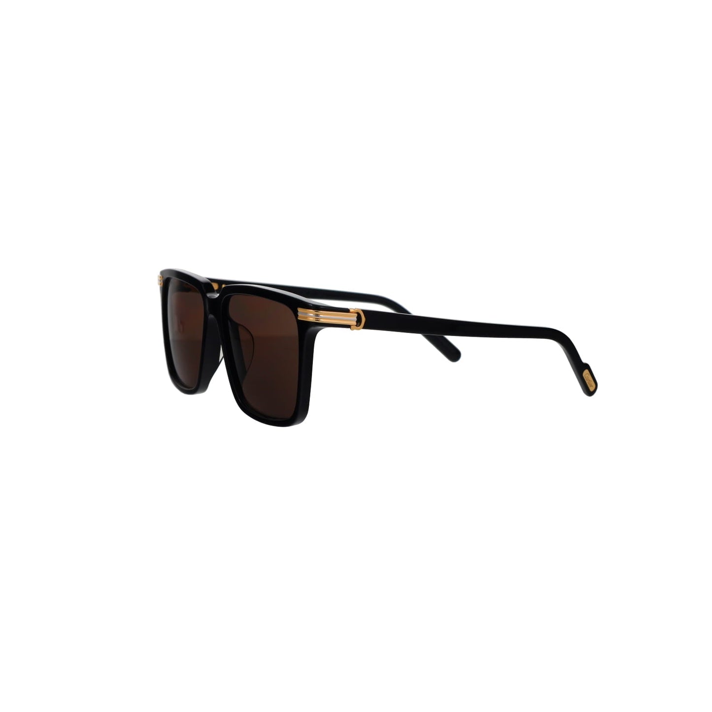 CT0366S Contemporary Acetate Sunglasses