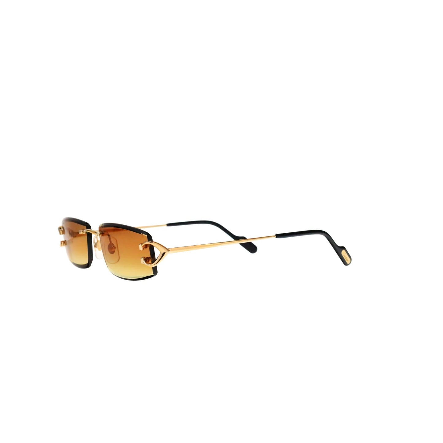 CT0465S Signature C  Rectangular Sunglasses