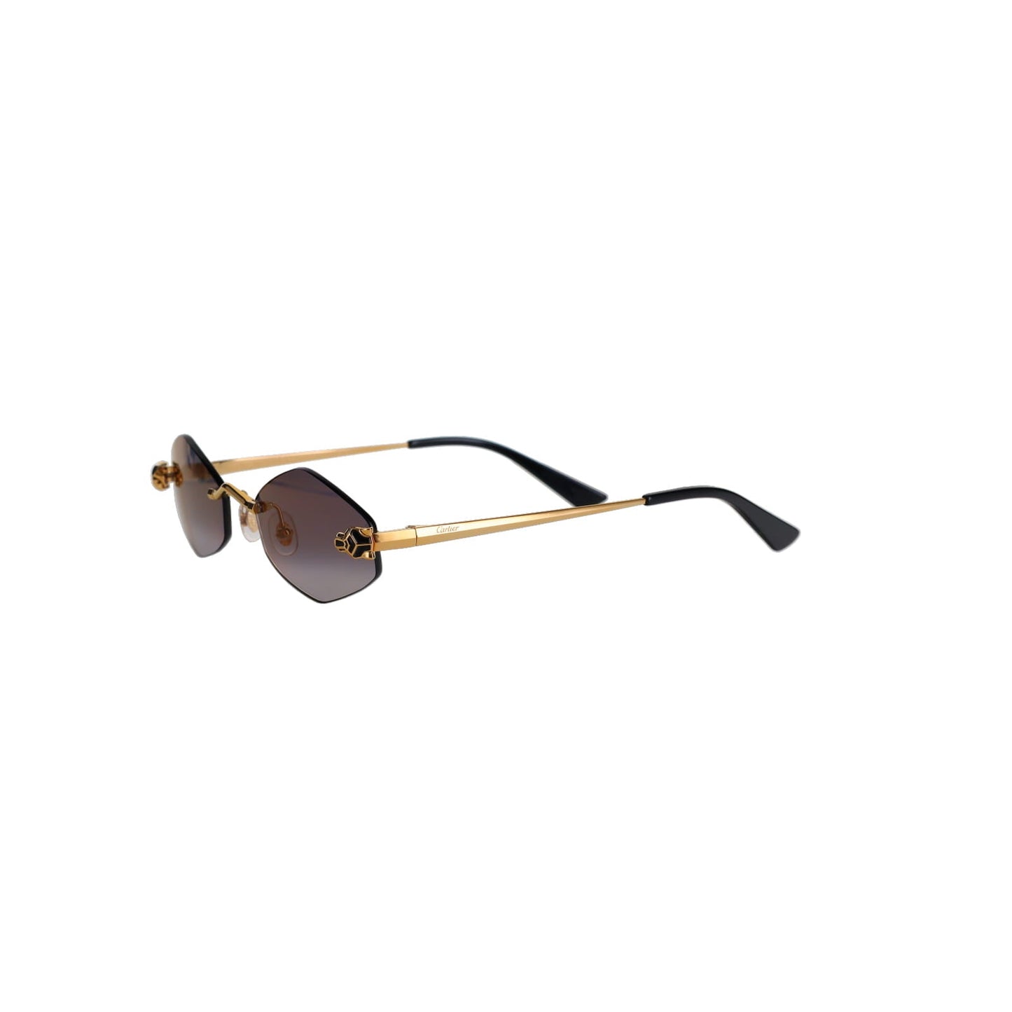 CT0433S Hexagonal Panthère Sunglasses