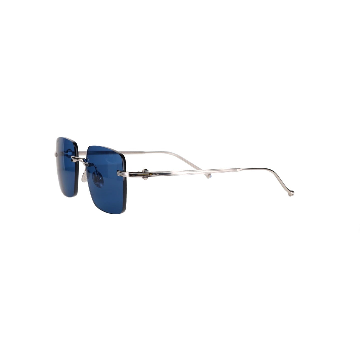 CT0403S Pasha Sunglasses