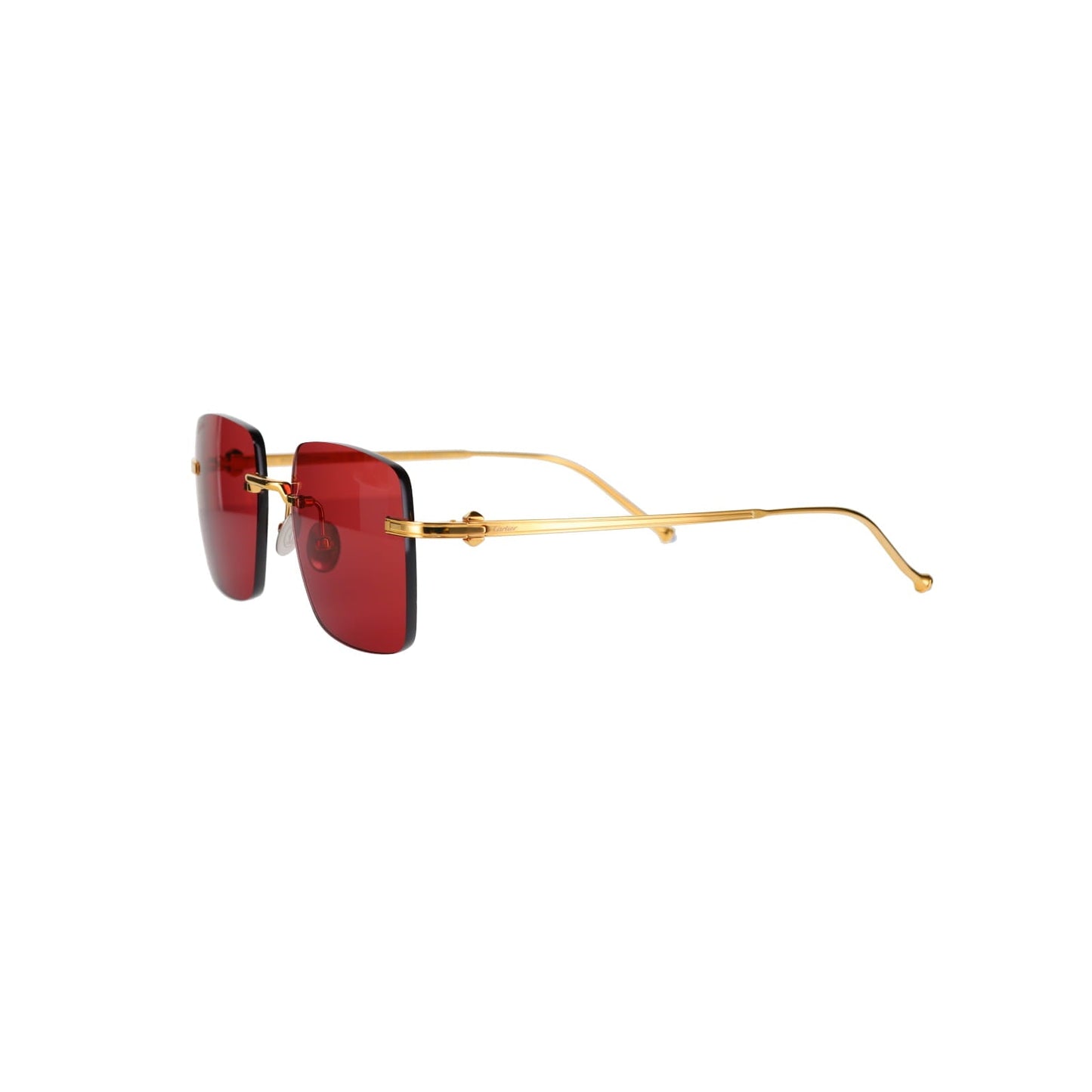 CT0403S Pasha Sunglasses