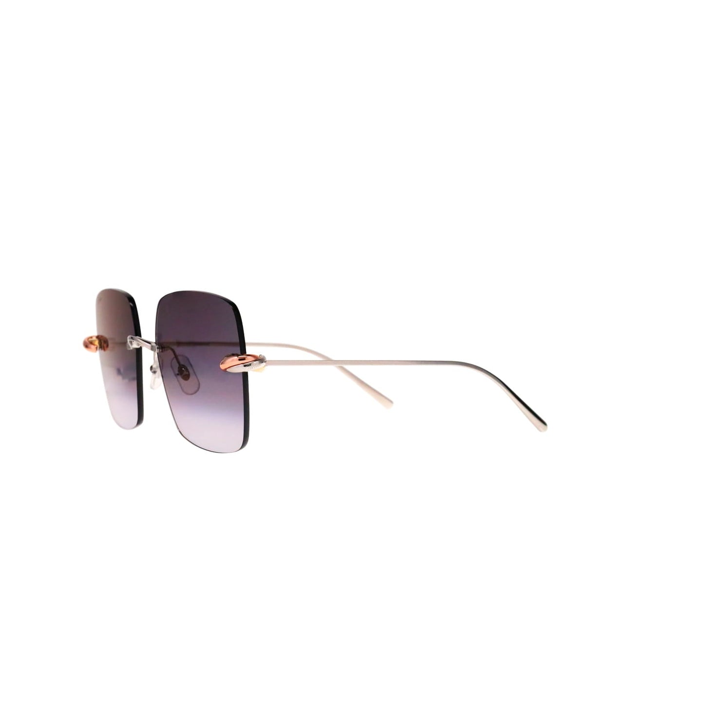 CT0508S Trinity Square Sunglasses