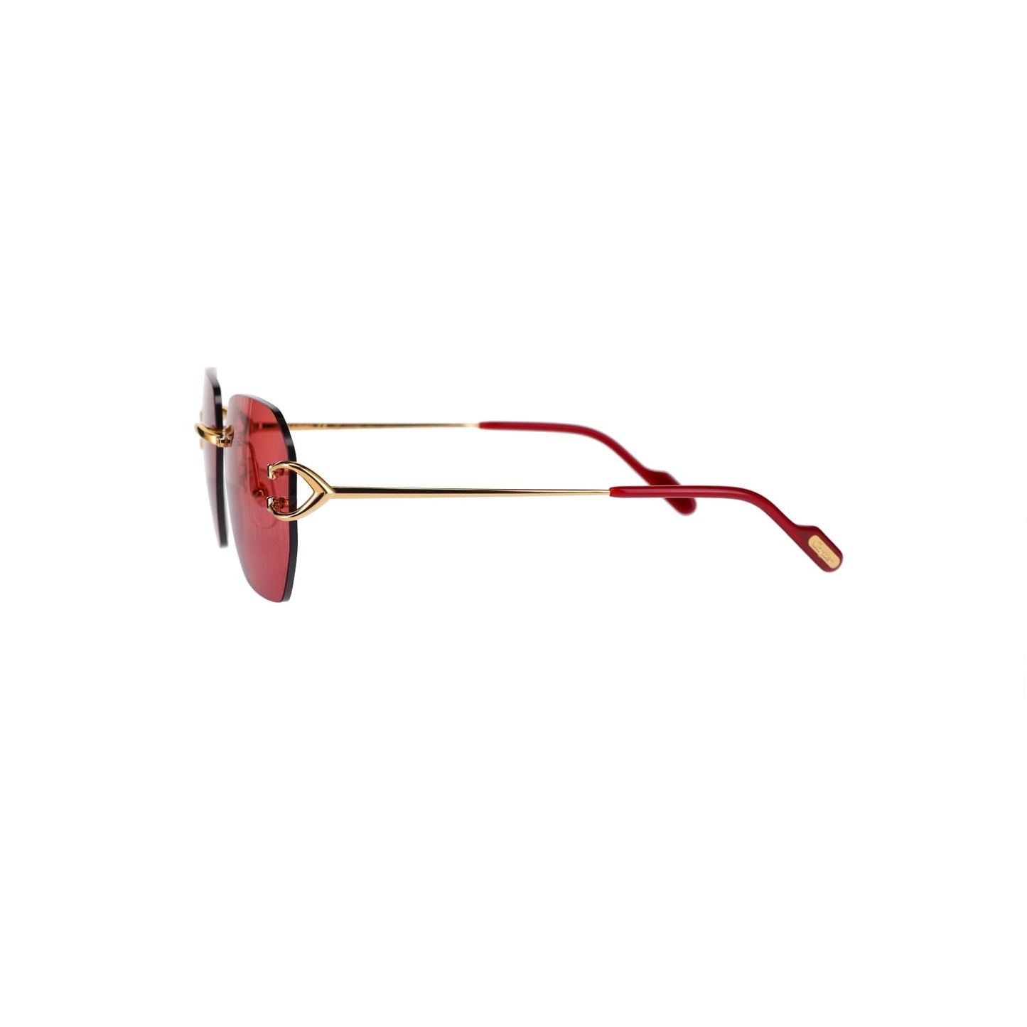 CT0394S Signature C Sunglasses