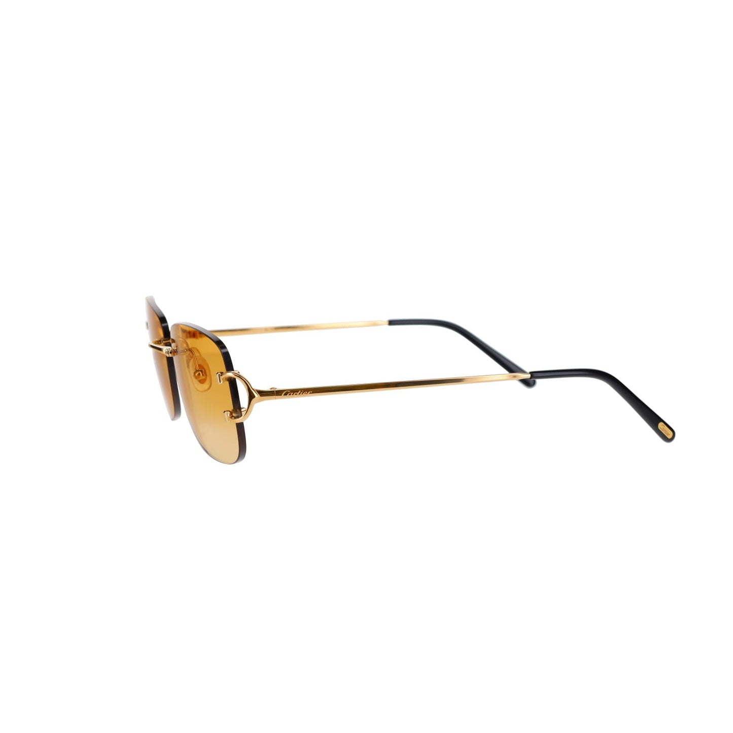 CT0011RS Signature C Sunglasses