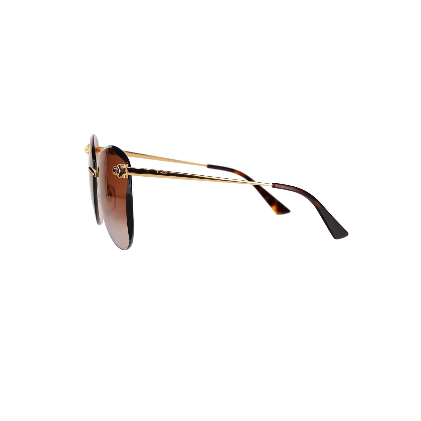 CT0398S Cat-eye Panthère Sunglasses