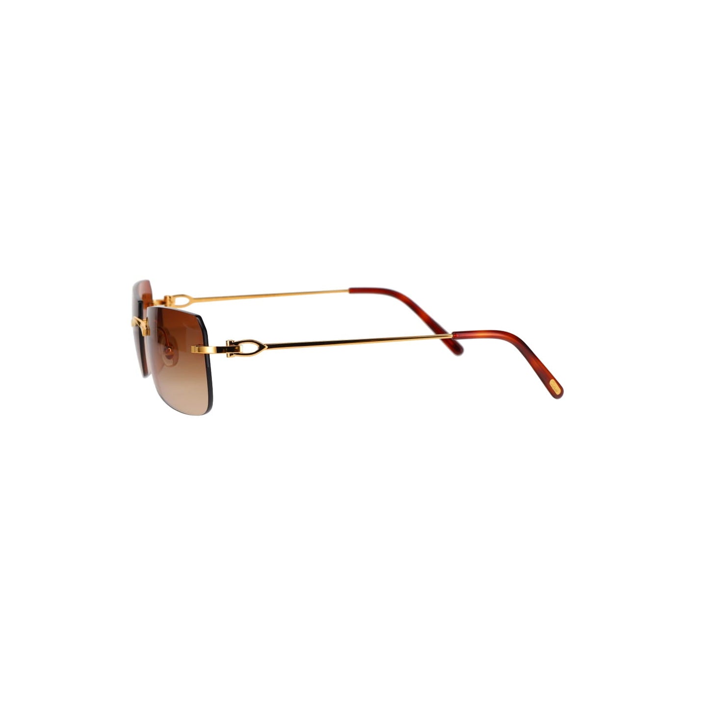 CT0006RS  C Décor Sunglasses
