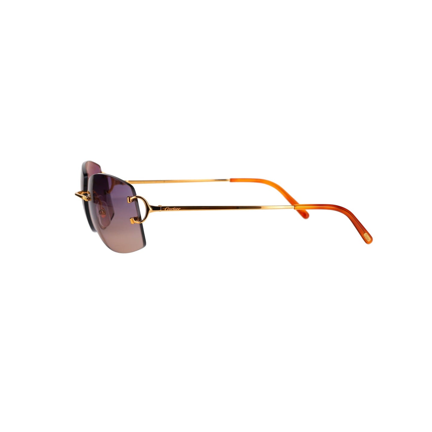 CT0008RS Signature C Sunglasses