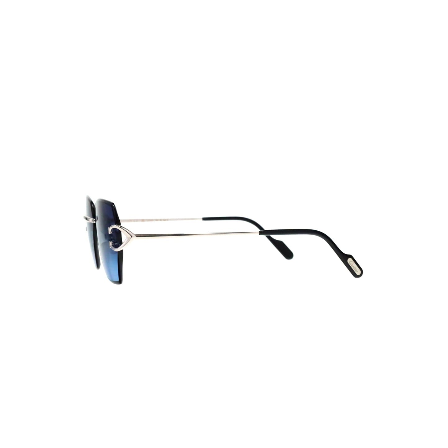 CT0466S  Signature C Sunglasses