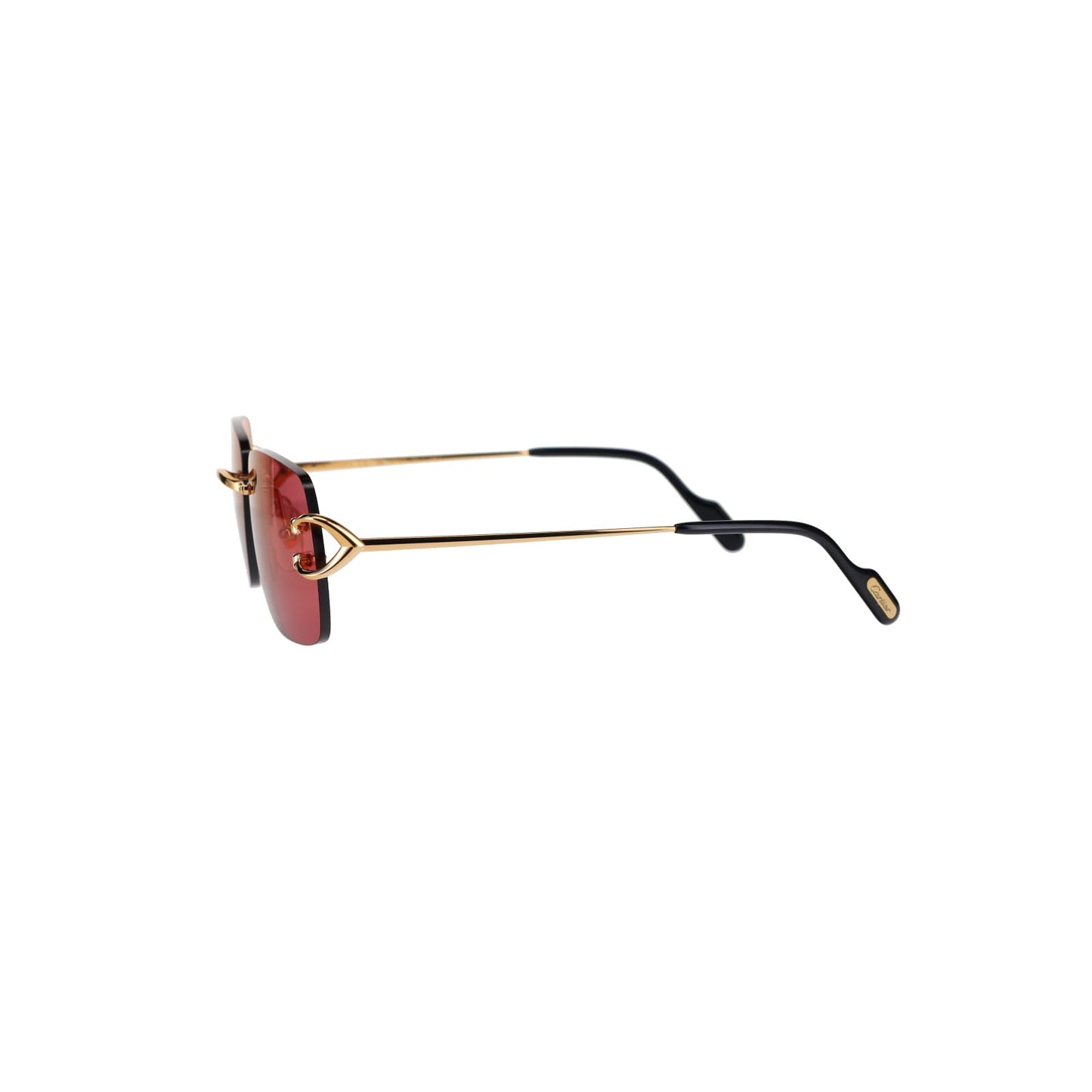 CT0330S Signature C  Sunglasses