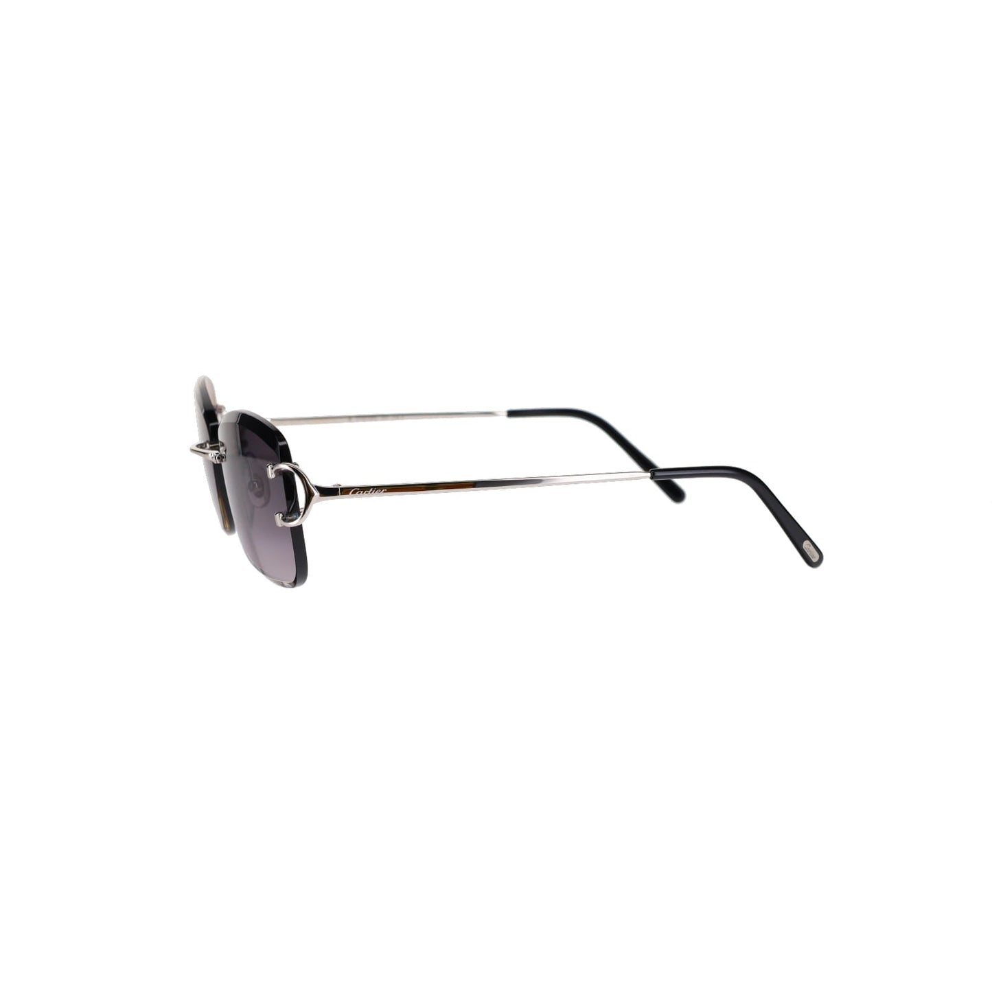 CT0010RS Signature C Sunglasses
