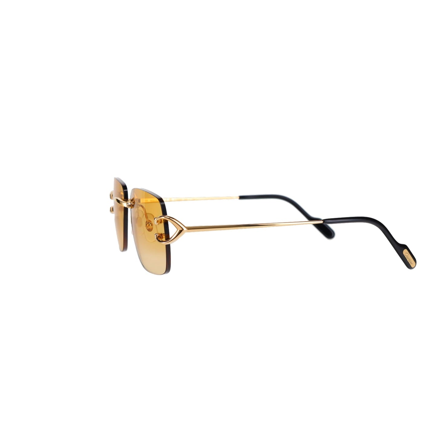 CT0330S Signature C  Sunglasses