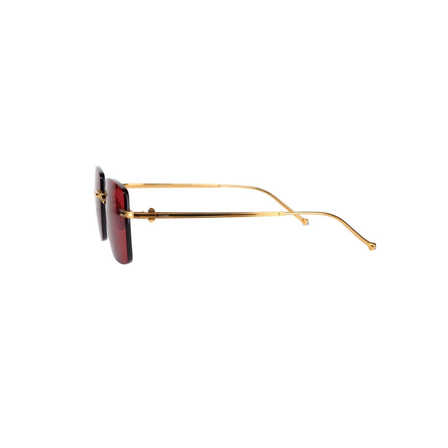 CT0403S Pasha Sunglasses