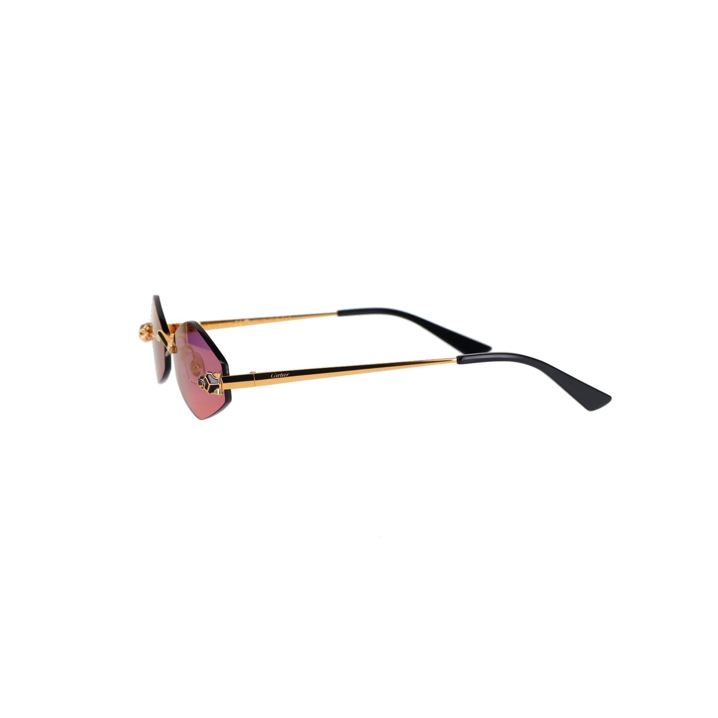 CT0433S Hexagonal Panthère Sunglasses