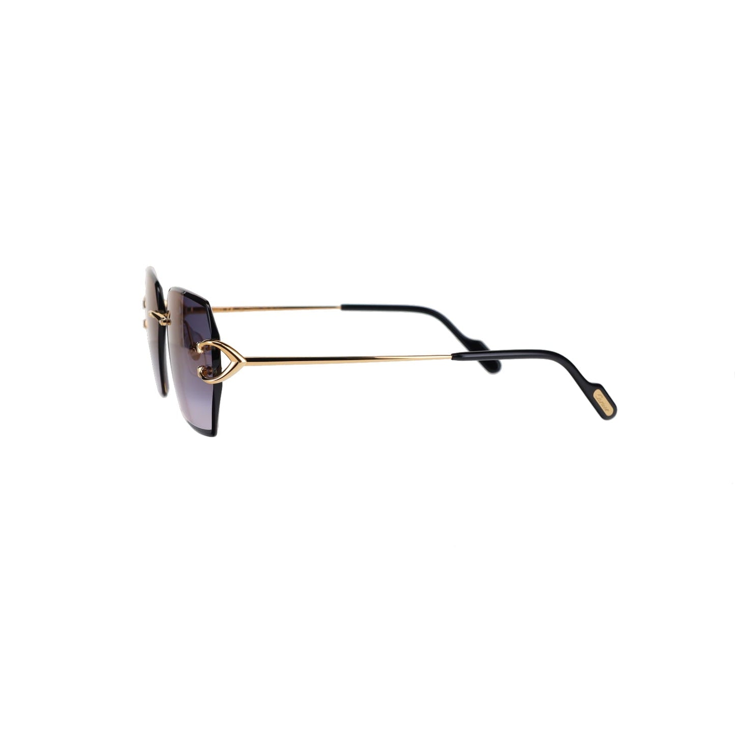 CT0466S  Signature C Sunglasses