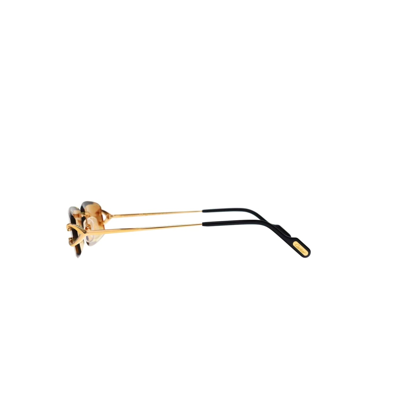 CT0465S Signature C  Rectangular Sunglasses