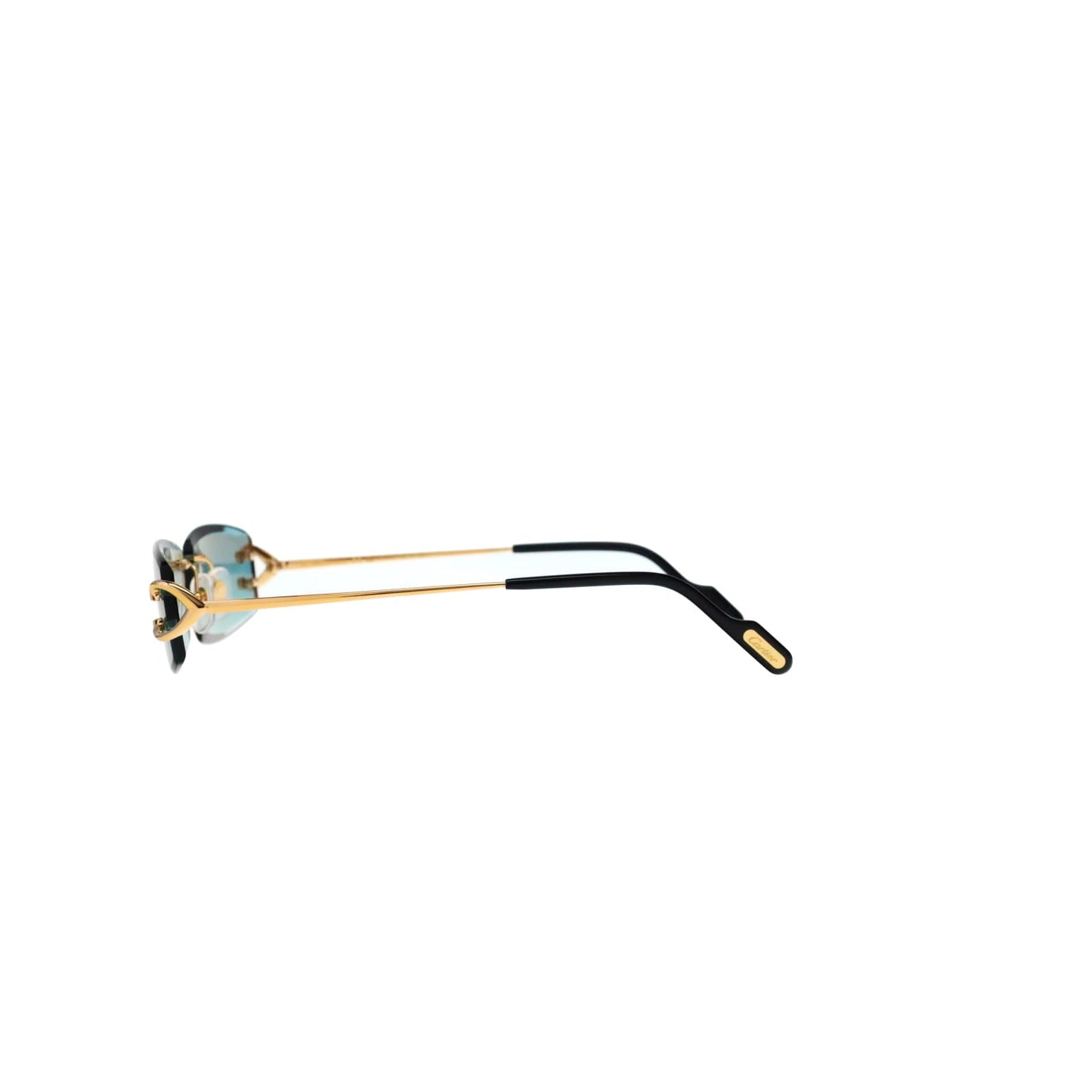 CT0465S Signature C  Rectangular Sunglasses