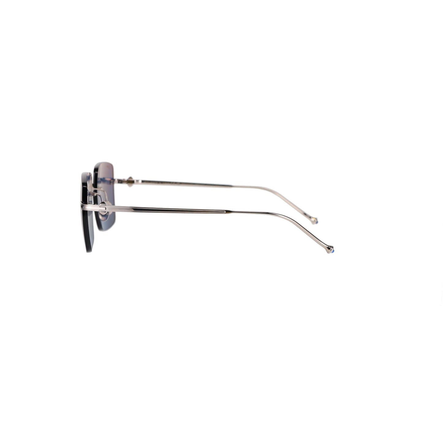 CT0403S Pasha Sunglasses