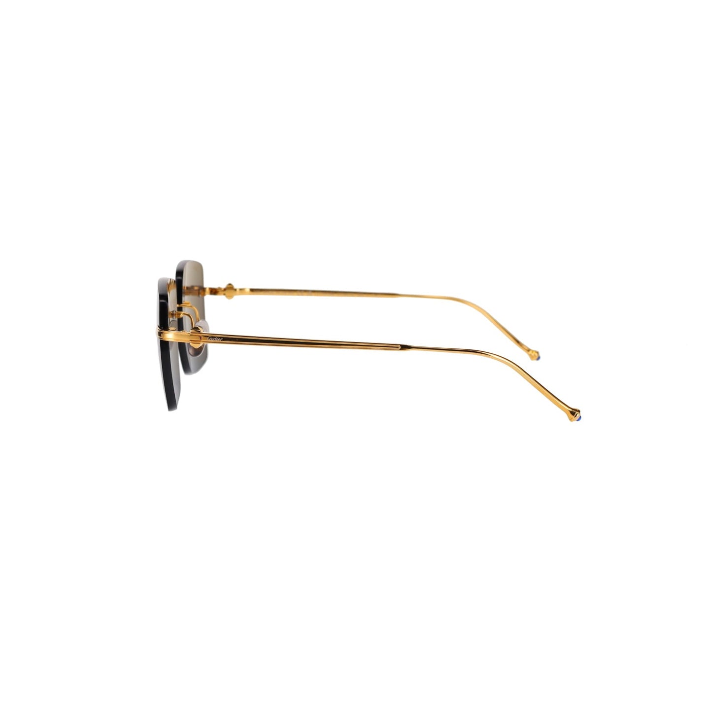 CT0403S Pasha Sunglasses