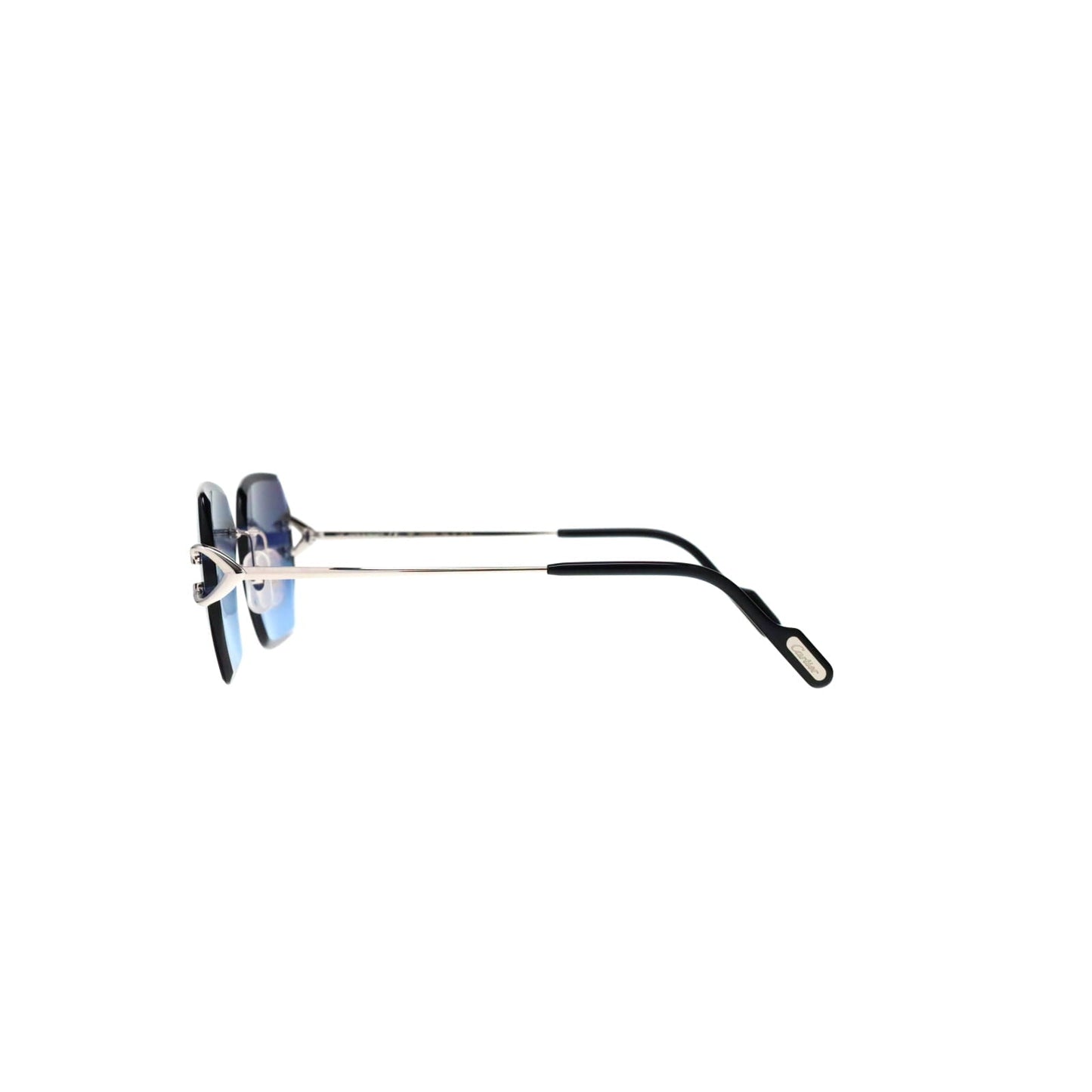CT0466S  Signature C Sunglasses