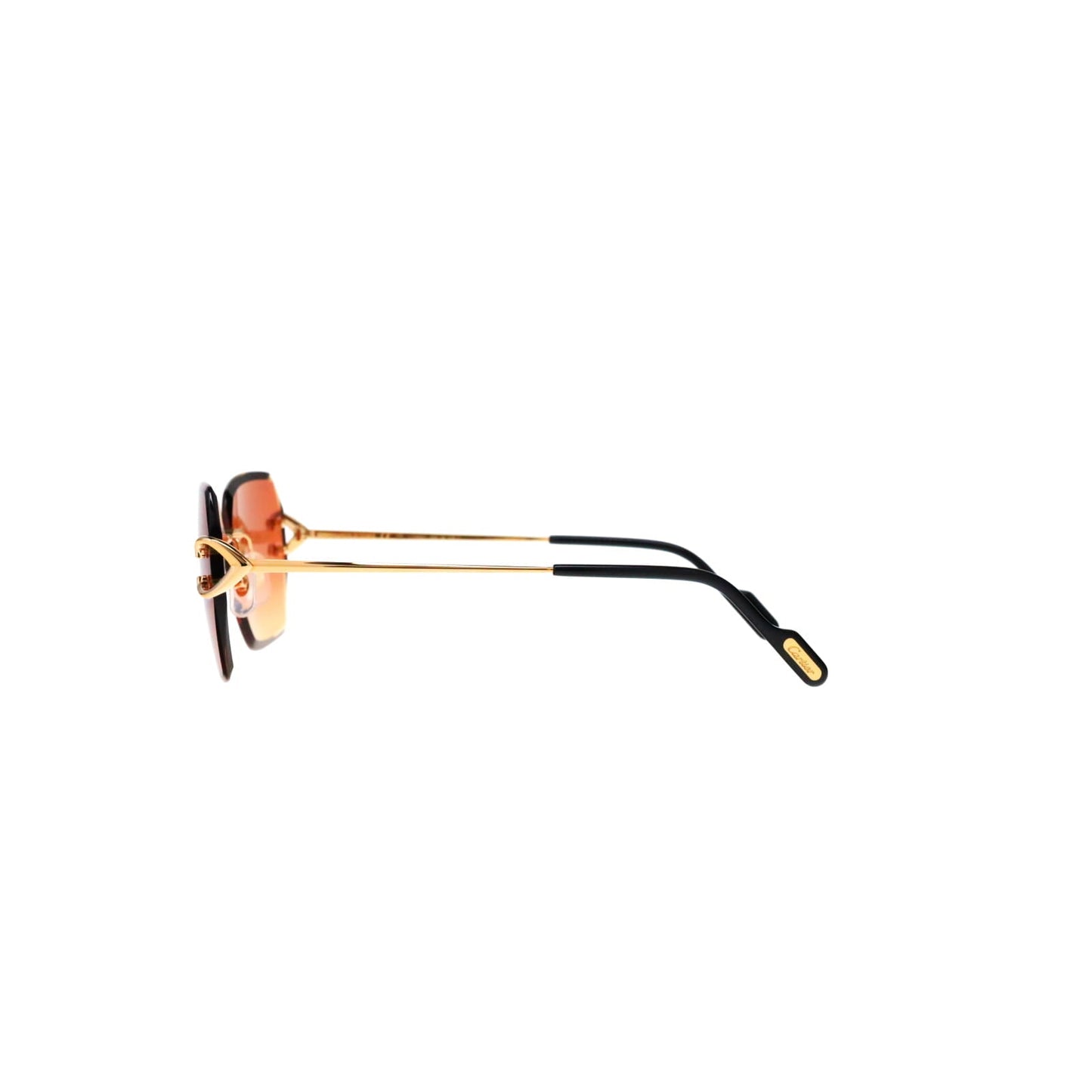CT0466S  Signature C Sunglasses