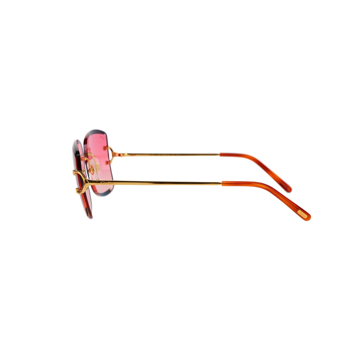 CT0007RS Signature C Sunglasses