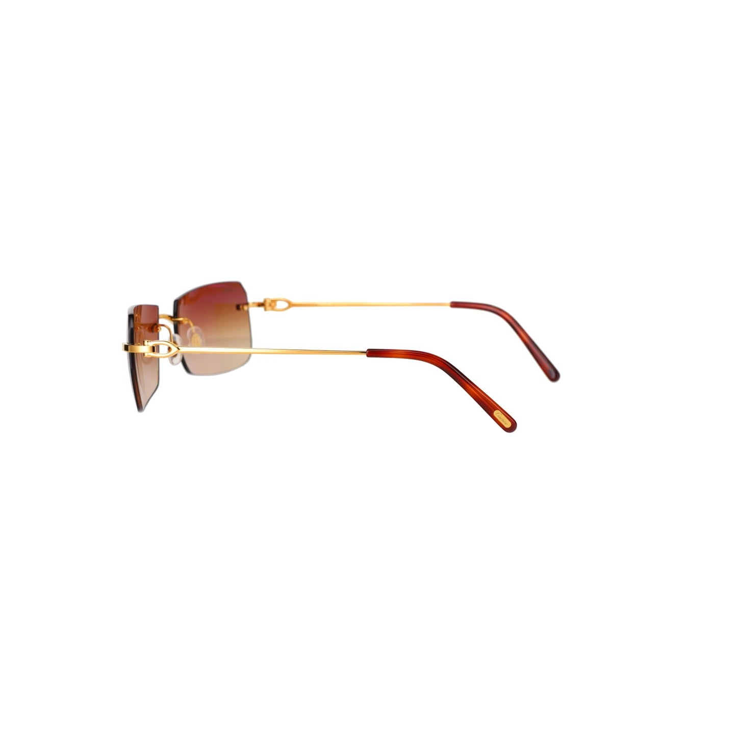 CT0006RS  C Décor Sunglasses