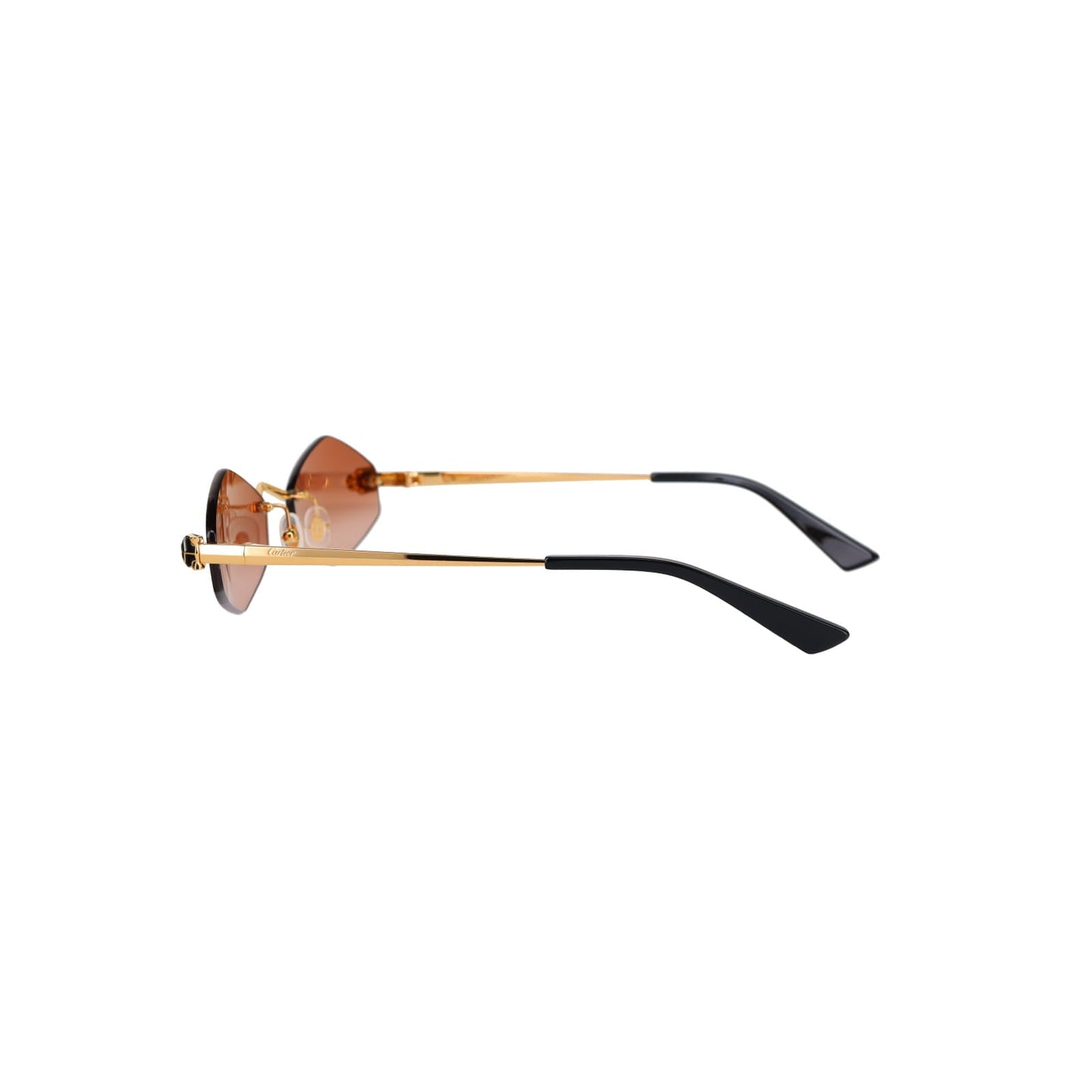 CT0433S Hexagonal Panthère Sunglasses