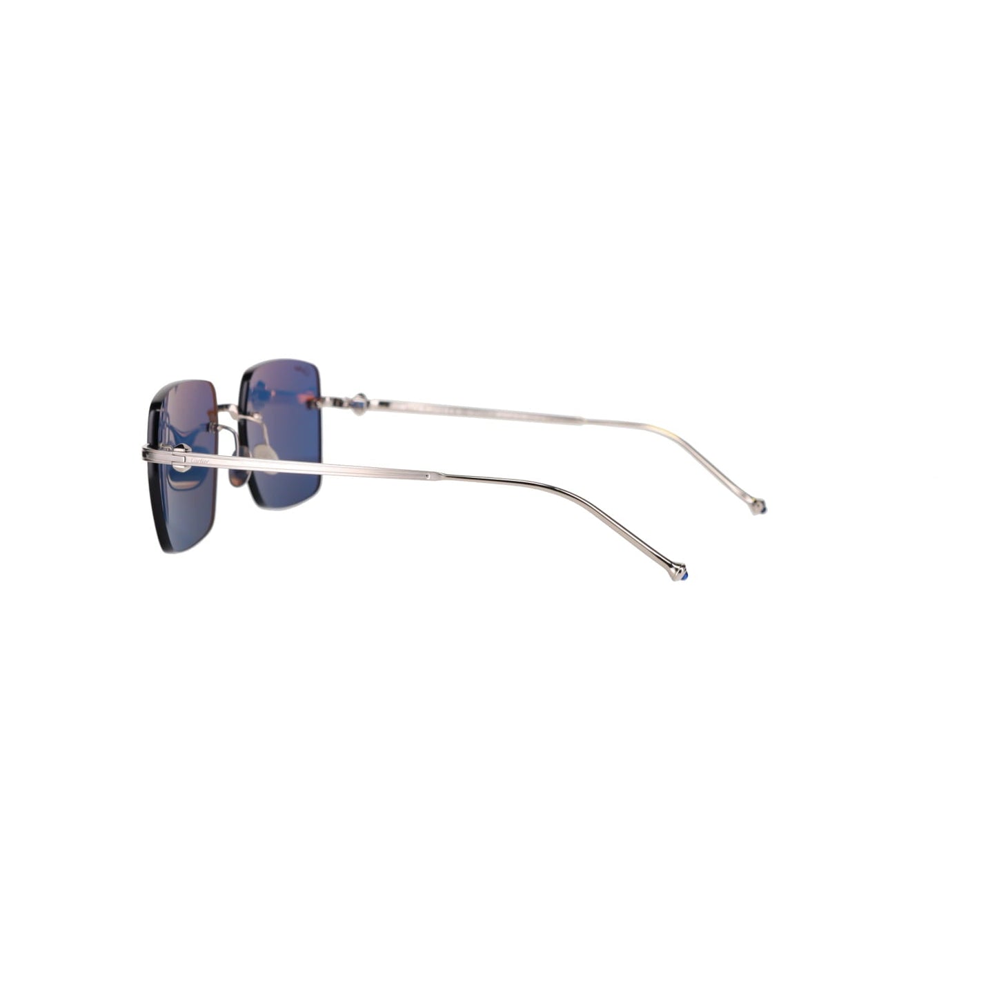 CT0403S Pasha Sunglasses