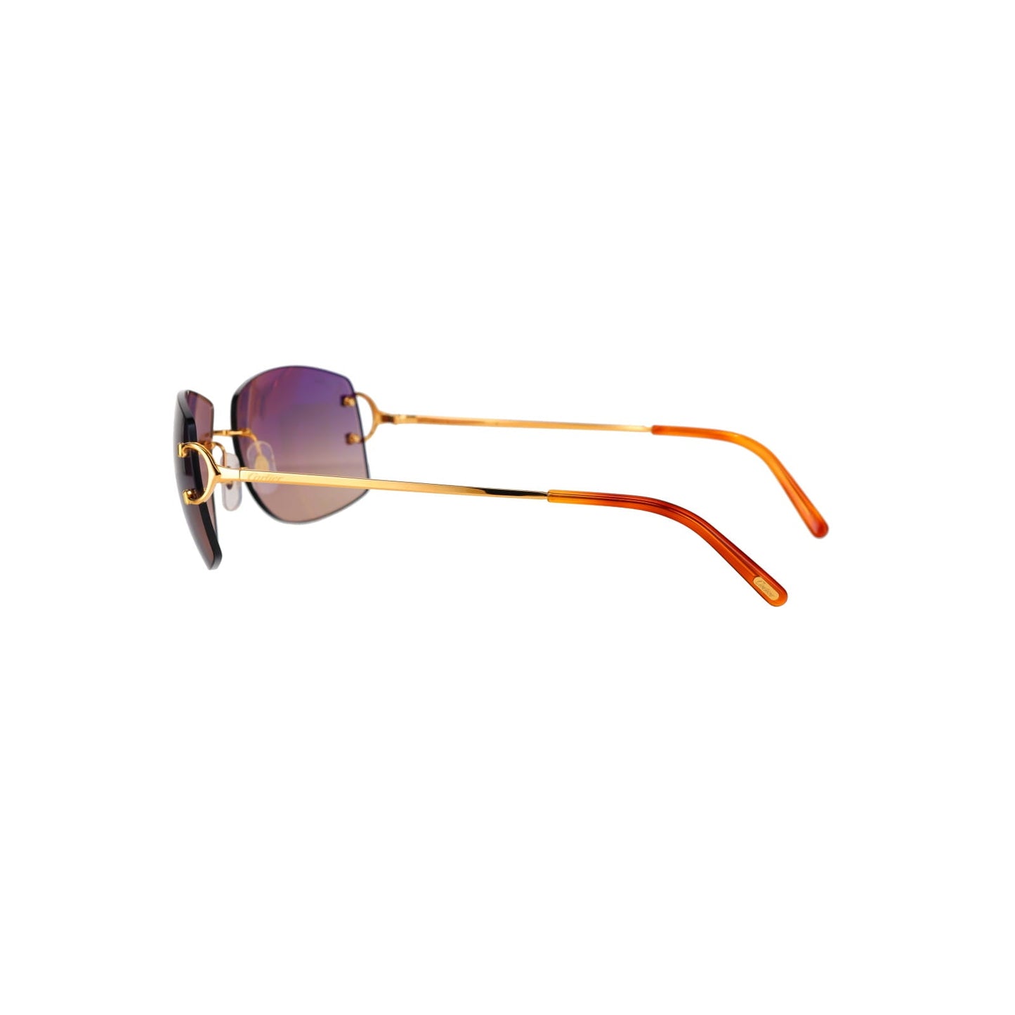 CT0008RS Signature C Sunglasses