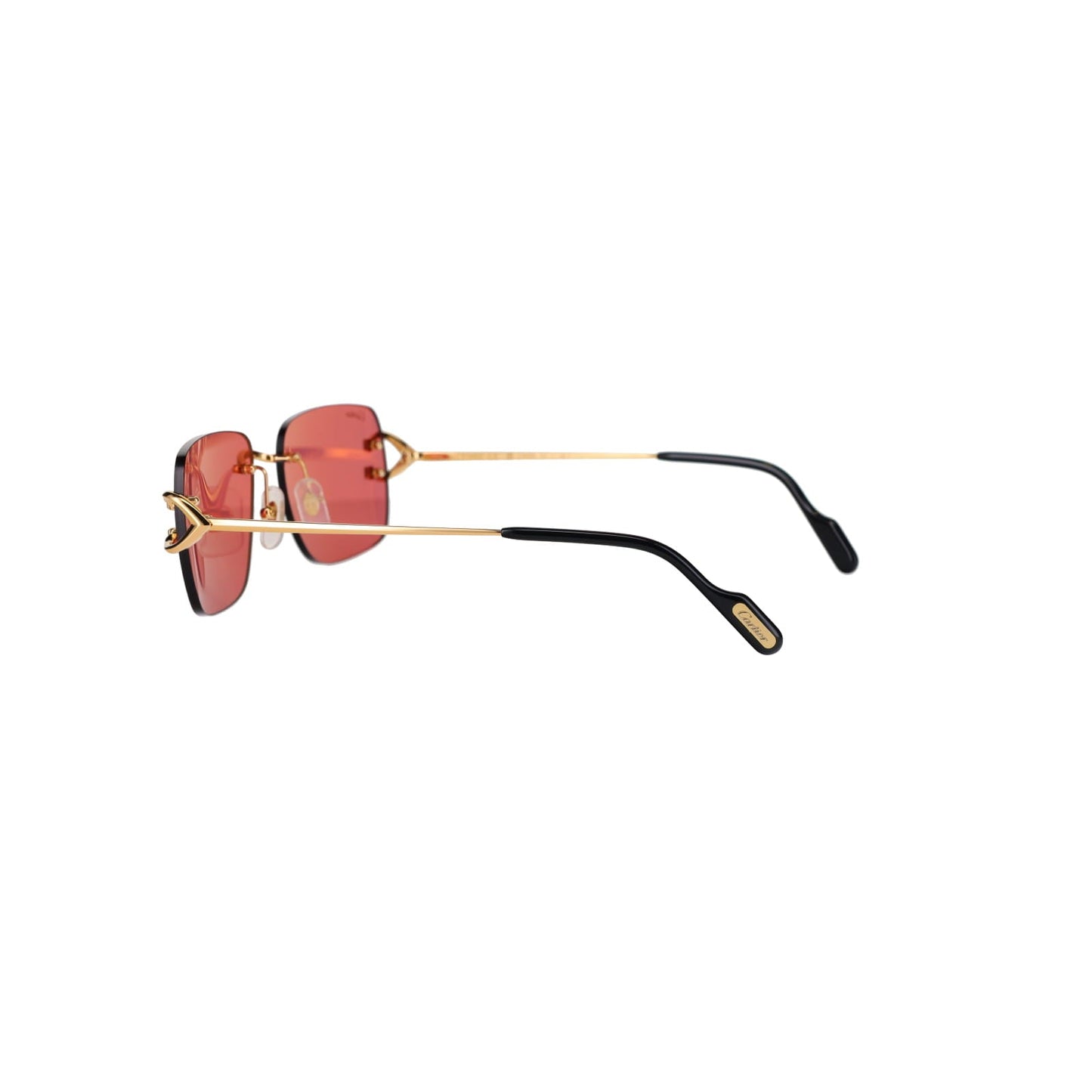 CT0330S Signature C  Sunglasses