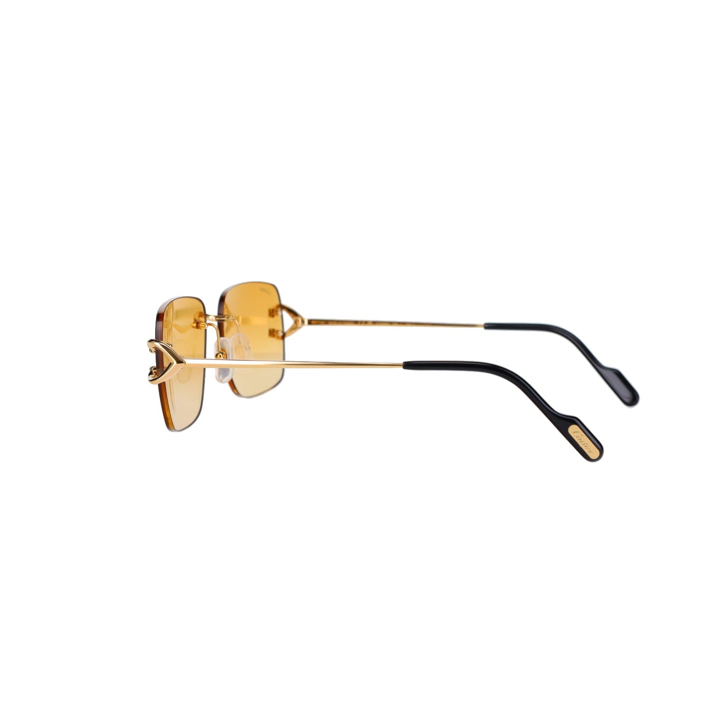 CT0330S Signature C  Sunglasses