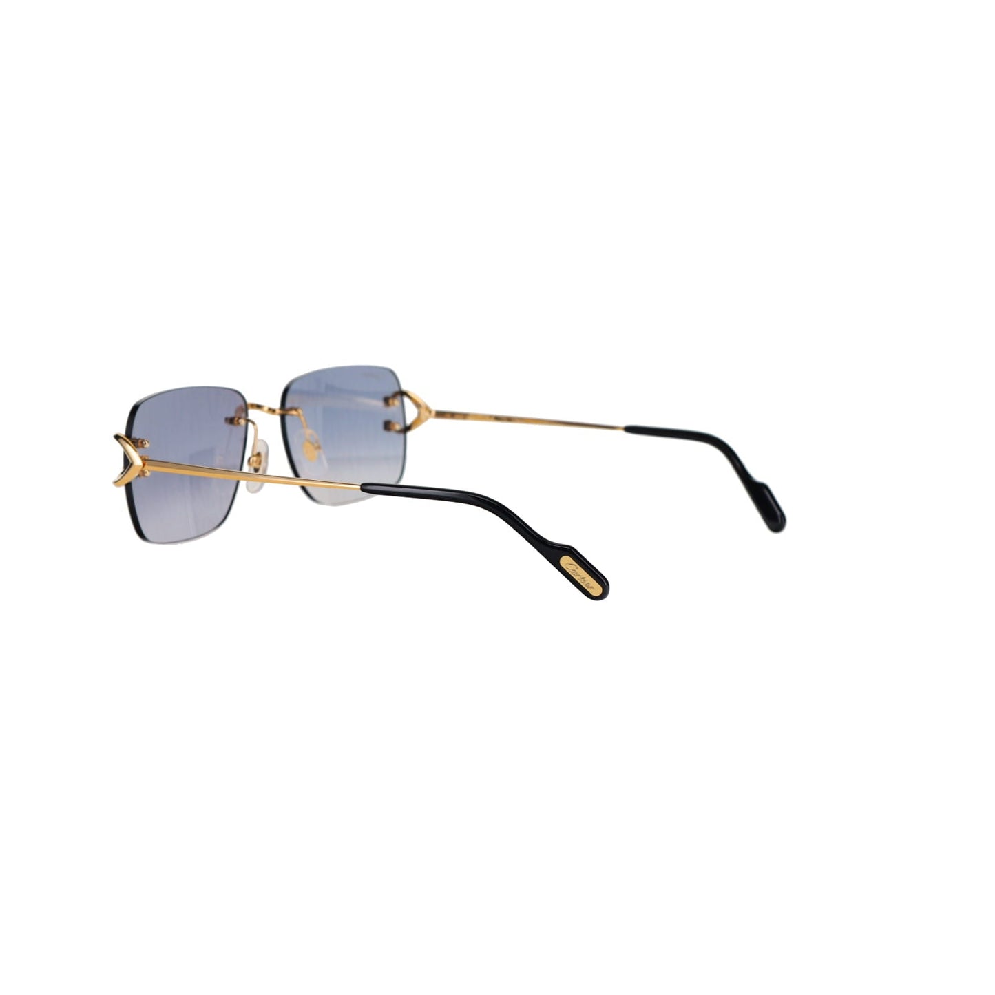 CT0330S Signature C  Sunglasses